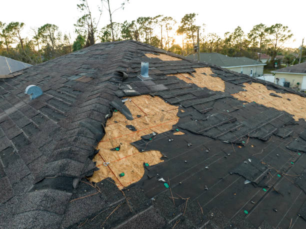 Best Gutter Installation and Repair  in South Alamo, TX