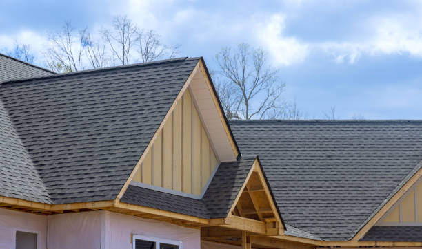Steel Roofing in South Alamo, TX