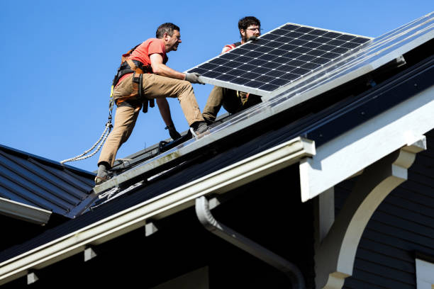 Best Asphalt Shingle Roofing  in South Alamo, TX